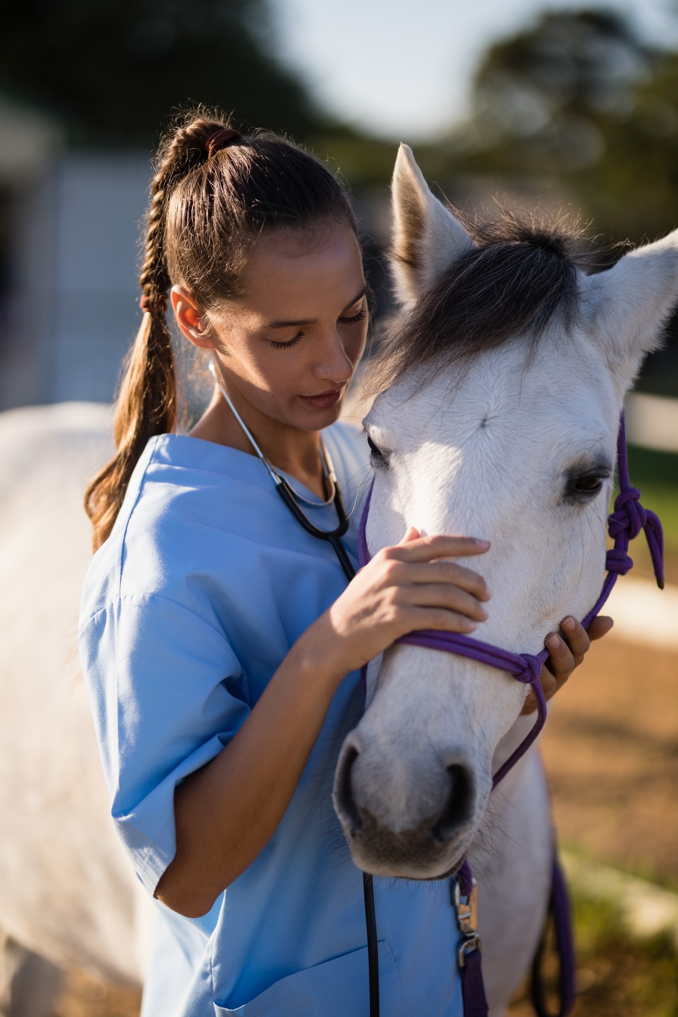 Female vet stroking white horse Female vet stroking white horse