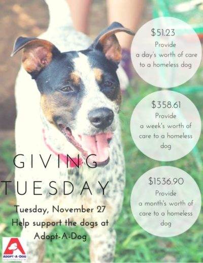Maximize Giving Tuesday for Your Nonprofit Maximize Giving Tuesday for Your Nonprofit