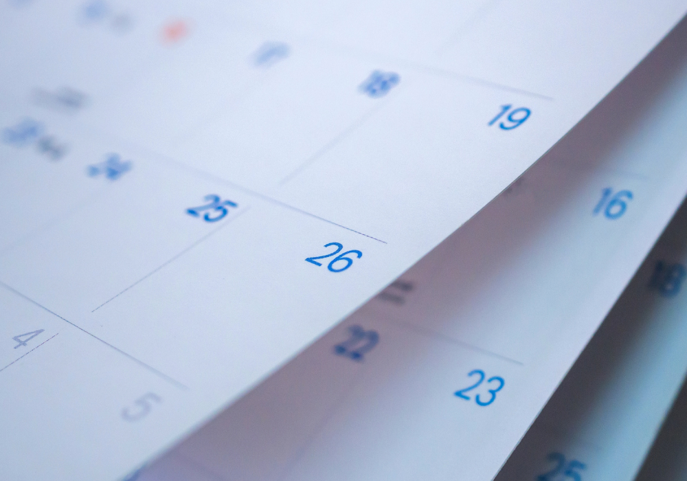 Accurate and timely bookkeeping every month — year-end ready